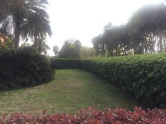 -圣爵菲斯大酒店(长沙世界之窗店)