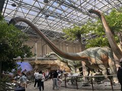 -国家自然博物馆