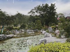 -东莞植物园