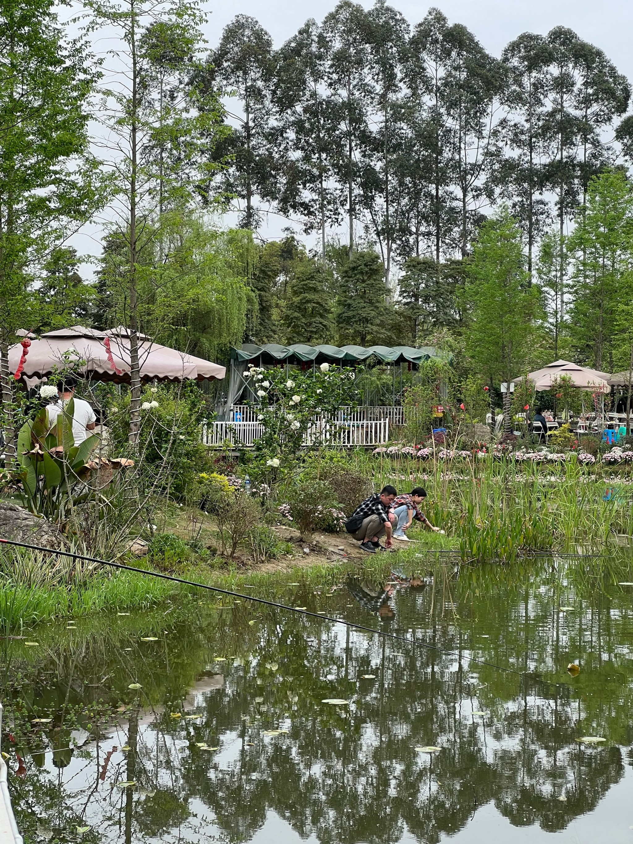 不允许没人知道在三圣乡的这家宝藏农家乐