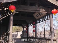 -爱新觉罗皇家博物院