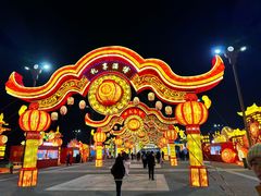 -淄博花灯齐彩城