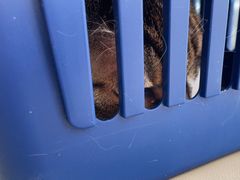 -芭比堂动物医院·CT·微创中心(新顺分院)