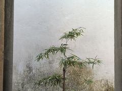 -浙江省博物馆(孤山馆区)