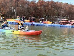 -上海海湾国家森林公园