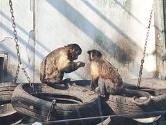 -无锡动物园·太湖欢乐园