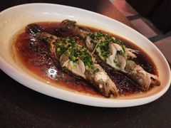 酒香清蒸翘嘴鱼-羡餐厅·杭帮菜·淳菜(千岛湖自由洲际殿店)