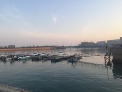 -康大鲤鱼门海鲜城·中餐厅