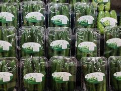 -大鹏佳兆业广场