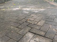 -晓港公园