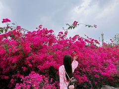-盈香心动乐园