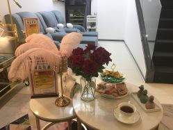 -La Rose·轻奢皮肤管理