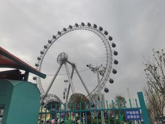 -海合安武汉极地海洋公园