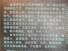 -燊海井