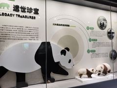 -四川大学博物馆