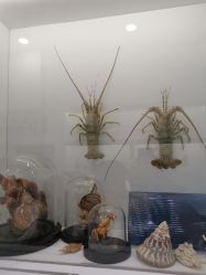 -酷嗒动物文化乐园(cutezoo西溪乐天城店)