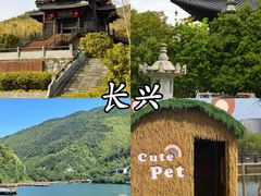 -大唐贡茶院