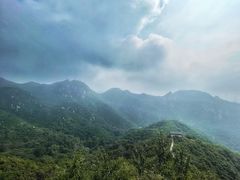 -大岭沟猕猴桃谷风景区
