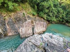 -广州白江湖森林公园