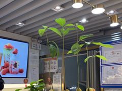 -Mr.Fruits水果先生(蓝色港湾店)