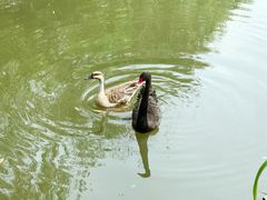 -白马涧龙池景区