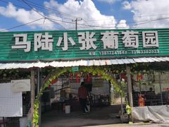 -马陆小张葡萄园农家乐
