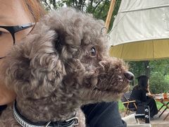 -Supine Bistro溯泮餐厅