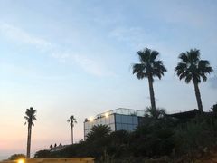 -Cafe Aewol Monsant