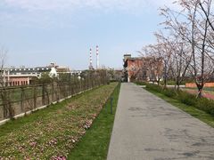 -北外滩滨江绿地