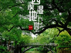 -西溪国家湿地公园