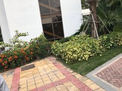 -厦门悦华酒店