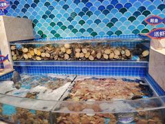 水产区-乔哥铭洋海鲜自助(皇城恒隆广场店)