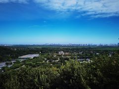 -上海佘山国家森林公园西佘山园