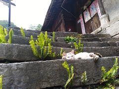 -高荡千年布依古寨旅游景区