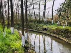 -桤木河湿地公园