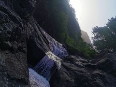 -历山猕猴源景区