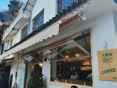 -大青树咖啡(大理古城店)