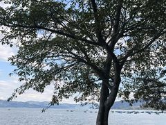 -抚仙湖禄充风景区