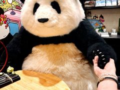 -轩客会(熊猫书店)