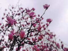 -西南民族大学南区(双流校区)