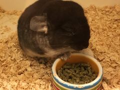 -龙猫仔乐园(惠福东路店)