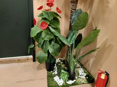-泰澜·泰式古法按摩SPA(华泰广场店)