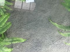 -延庆地质公园博物馆