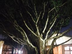 -筼筜书院