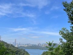 -深圳仙湖植物园