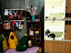 -十年猫舍·猫咪专门店(普陀店)