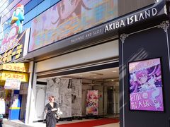 店内环境-秋叶原电器街