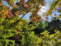 -北海道厅旧本厅舍(旧本庁舎)