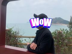 -广东惠东海龟国家级自然保护区
