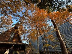 -轻井泽高原教堂